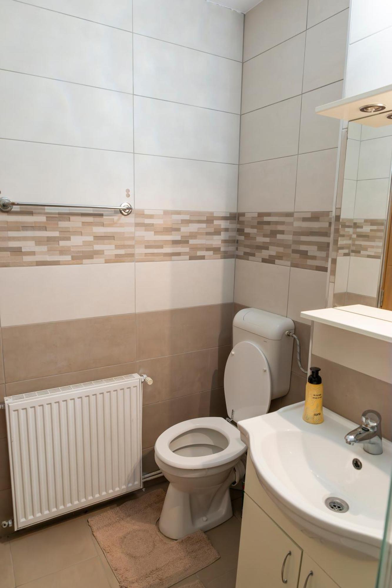 Green Vetiver Apartment Sibiu Extérieur photo